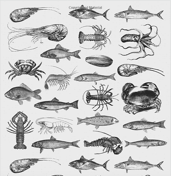 THE JOY OF SEAFOOD - BARTON SEAVER