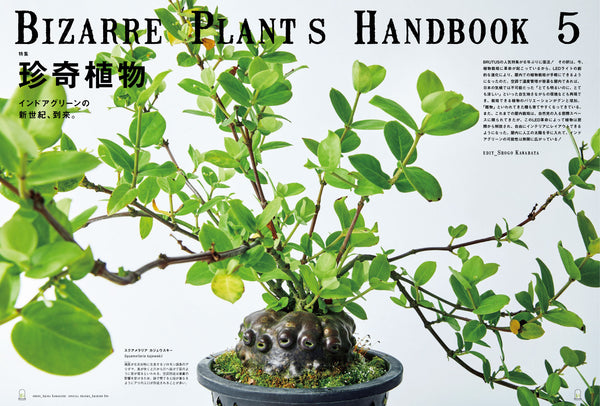 BRUTUS MAGAZINE - MAY 2025 issue #1030 (PLANTS)