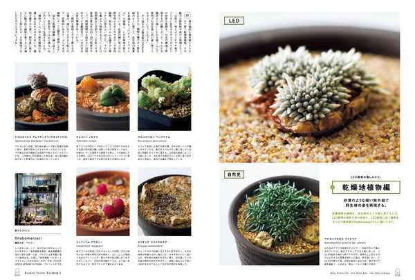 BRUTUS MAGAZINE - MAY 2025 issue #1030 (PLANTS)