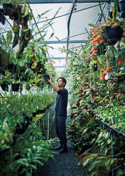 BRUTUS MAGAZINE - MAY 2025 issue #1030 (PLANTS)