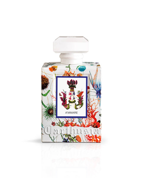 CARTHUSIA - A'MMARE EAU DE PARFUM / ROLL-ON