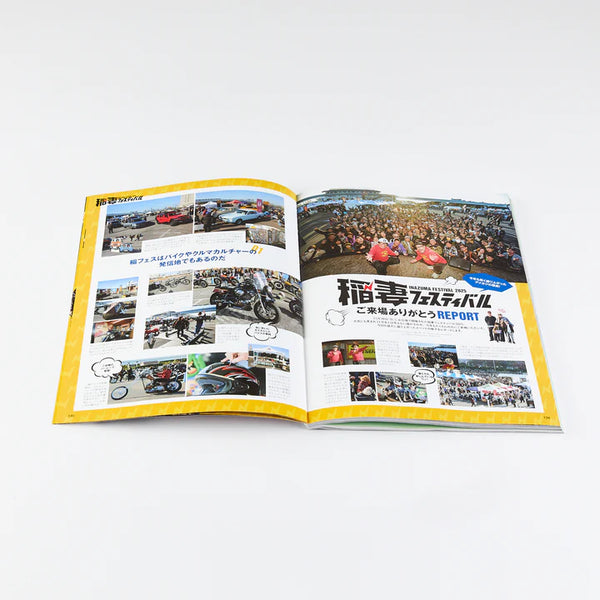 LIGHTNING MAGAZINE - MAINTENANCE MANUAL (VOL. 382)