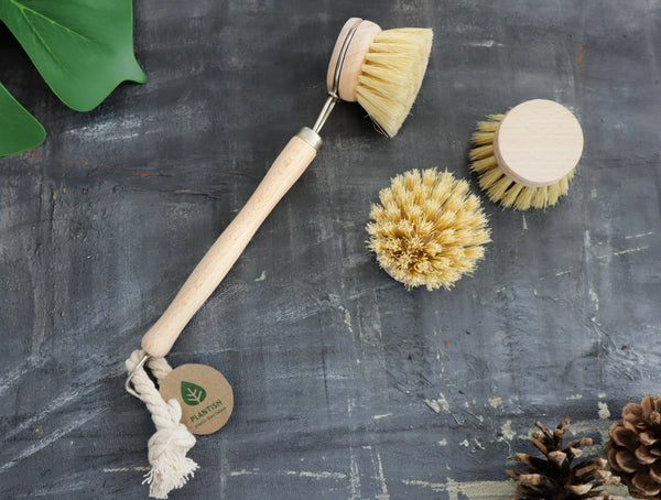 PLANTISH - SISAL DISH / POT BRUSH