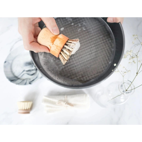 PLANTISH - SISAL DISH / POT BRUSH