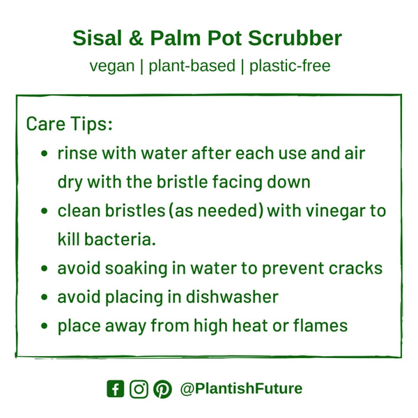 PLANTISH - SISAL DISH / POT BRUSH