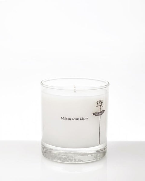 MAISON LOUIS MARIE - CANDLE (ANTIDRIS CASSIS)